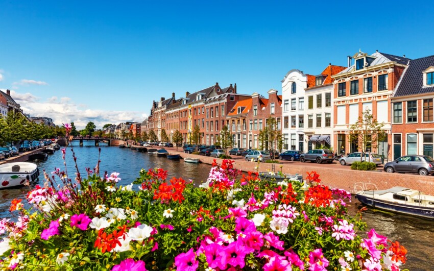 Optreden Haarlem